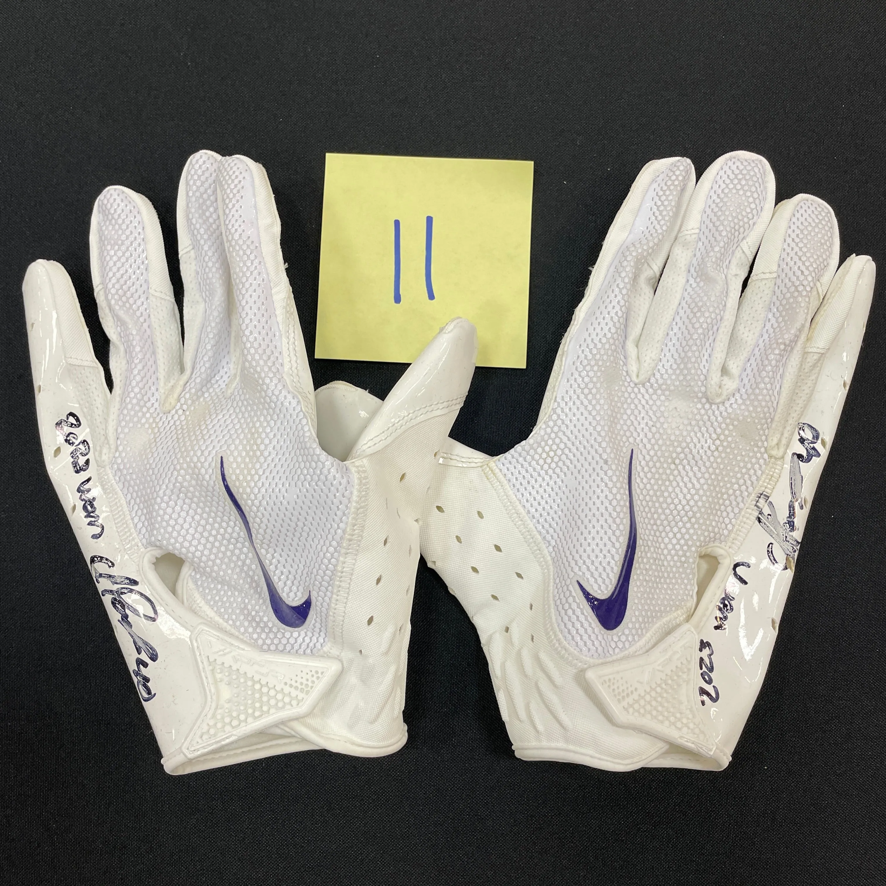 Ivan Pace Jr. Autographed Game Used Gloves and Spikes